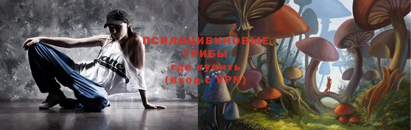 прущие крисы Бородино