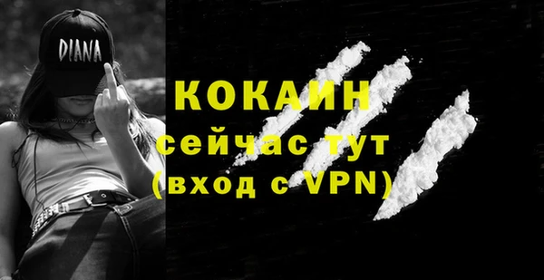 прущие крисы Бородино