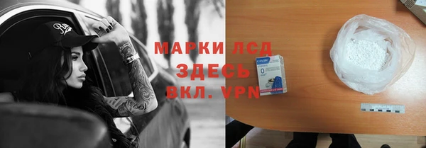прущие крисы Бородино