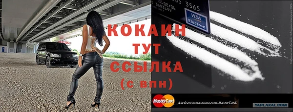 мдпв Бронницы