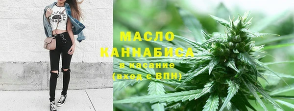 прущие крисы Бородино