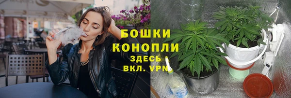 прущие крисы Бородино
