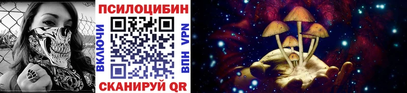 Галлюциногенные грибы Magic Shrooms Медногорск
